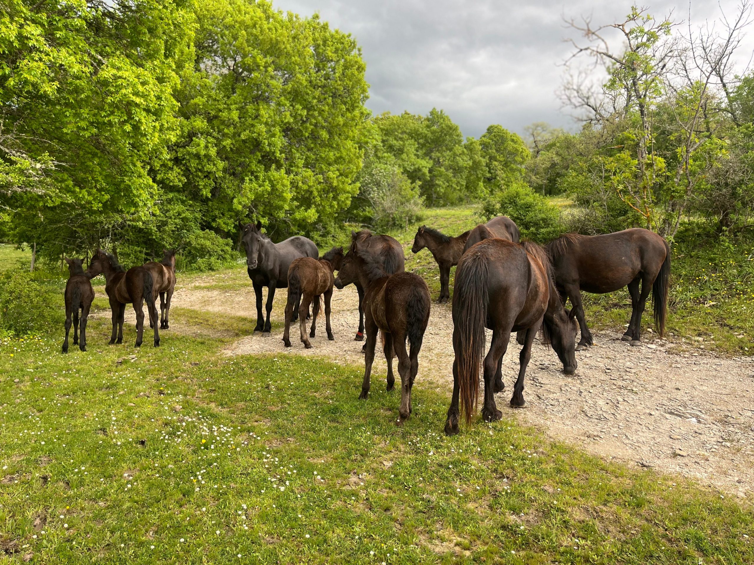 50f527db-a30b-497c-9c07-ac508d2dd6e4