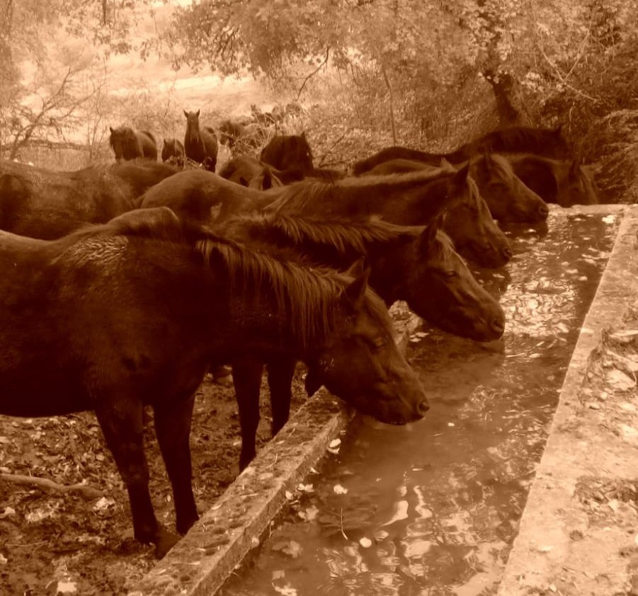 5b540782-ac2d-48ad-a4e0-1e5d5a290ff23